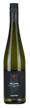 Pálava 2025 výběr z hroznů